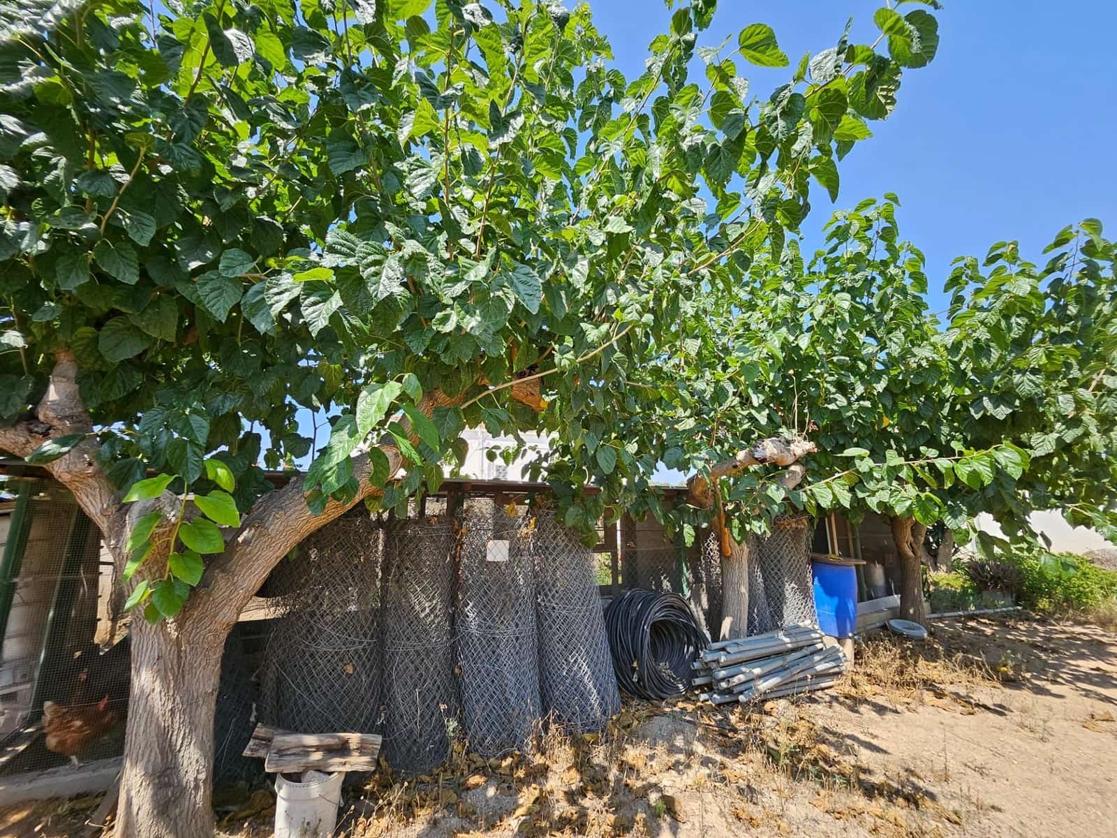 6 camera da letto Finca/Casa di Campagna in vendita in Camp-redo - 249.000 € (Rif: 8473977)