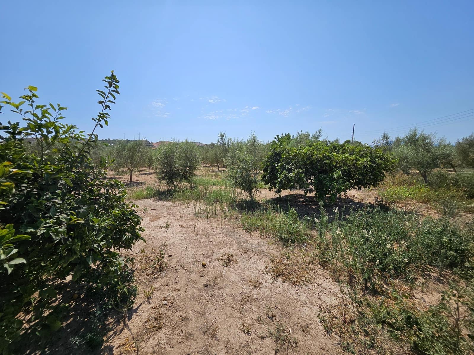 6 camera da letto Finca/Casa di Campagna in vendita in Camp-redo - 249.000 € (Rif: 8473977)