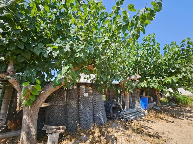 6 slaapkamer Finca/Landhuis te koop in Camp-redo, Tortosa - € 249.000 (Ref: 8473977)