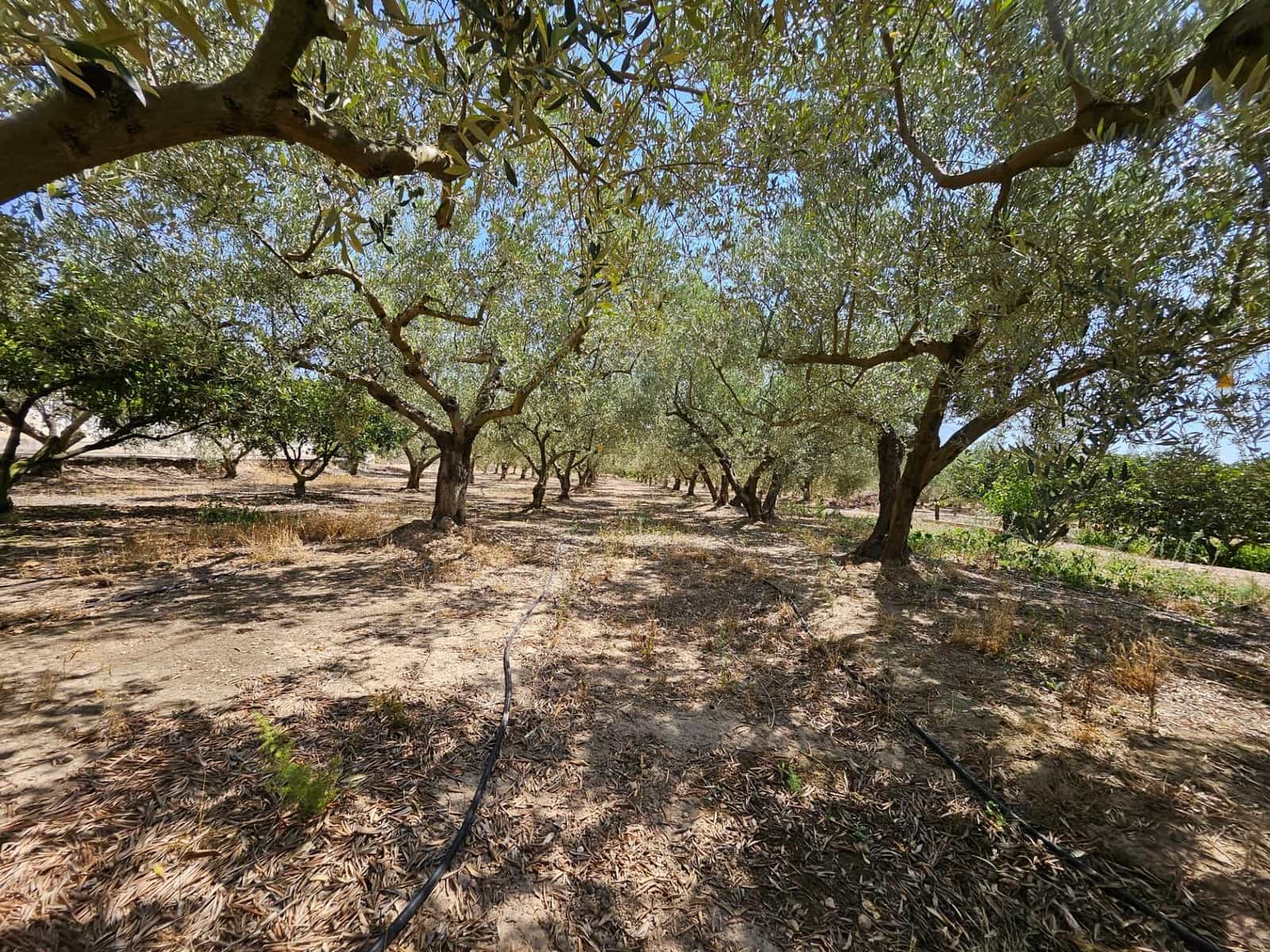 6 camera da letto Finca/Casa di Campagna in vendita in Camp-redo - 249.000 € (Rif: 8473977)