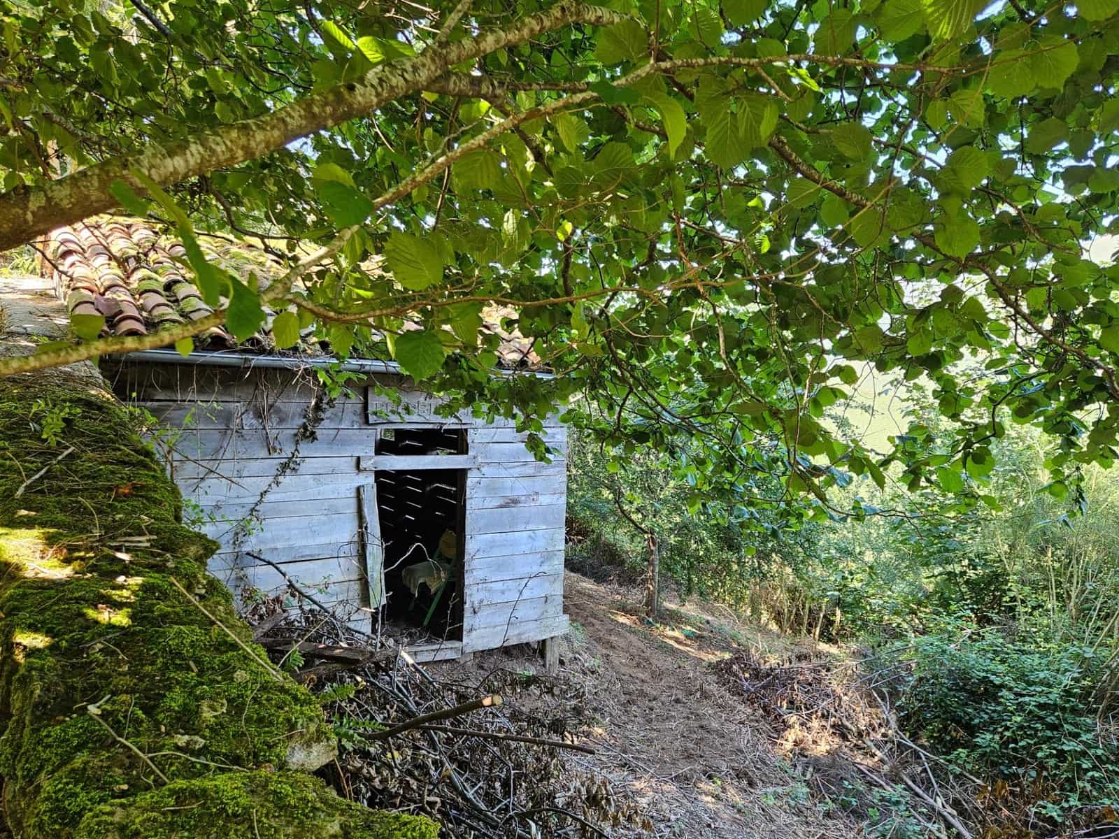 4 soveværelse Finca/Landehus til salg i Allande - € 225.000 (Ref: 8480809)