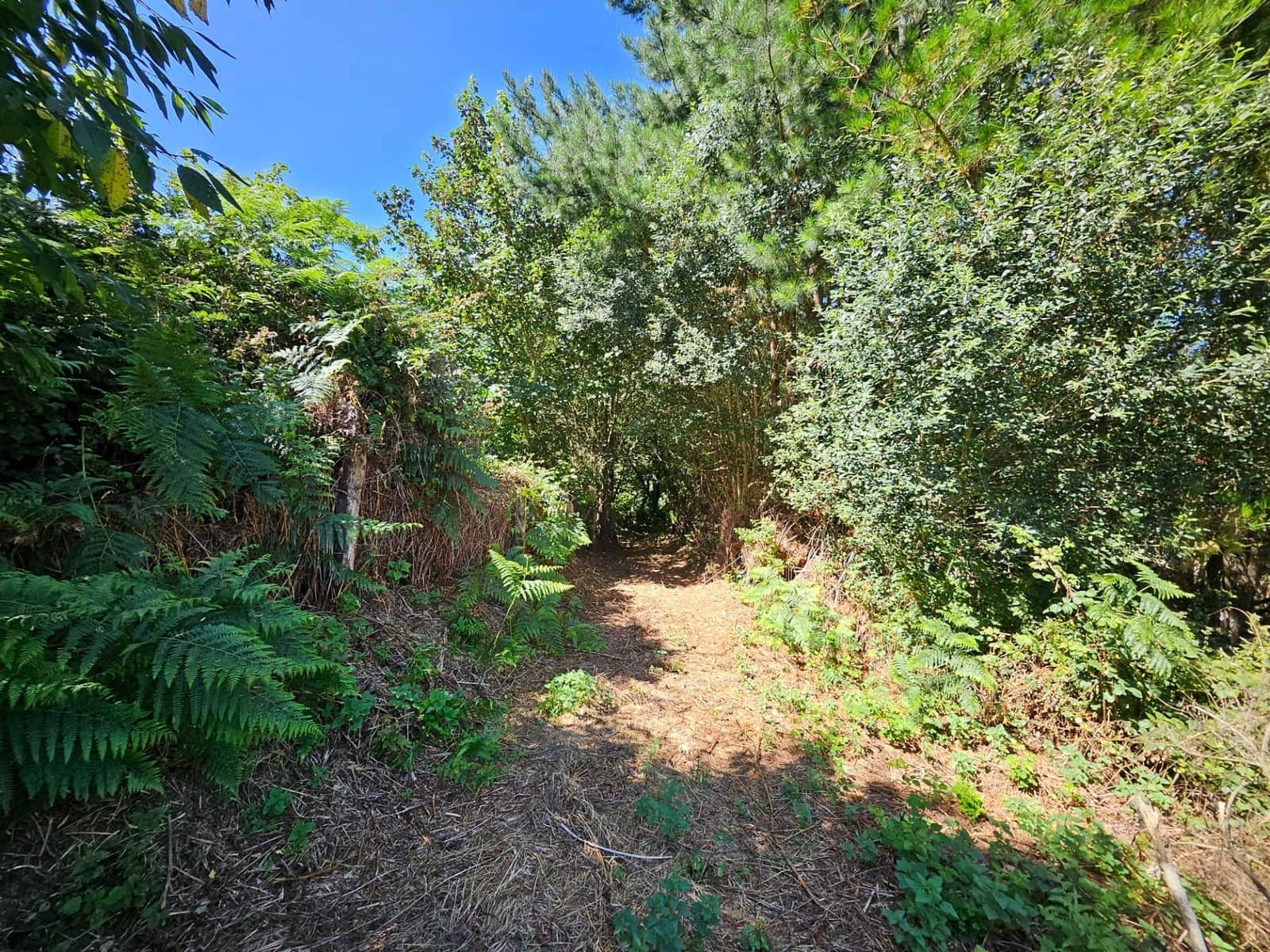 4 soveværelse Finca/Landehus til salg i Allande - € 225.000 (Ref: 8480809)