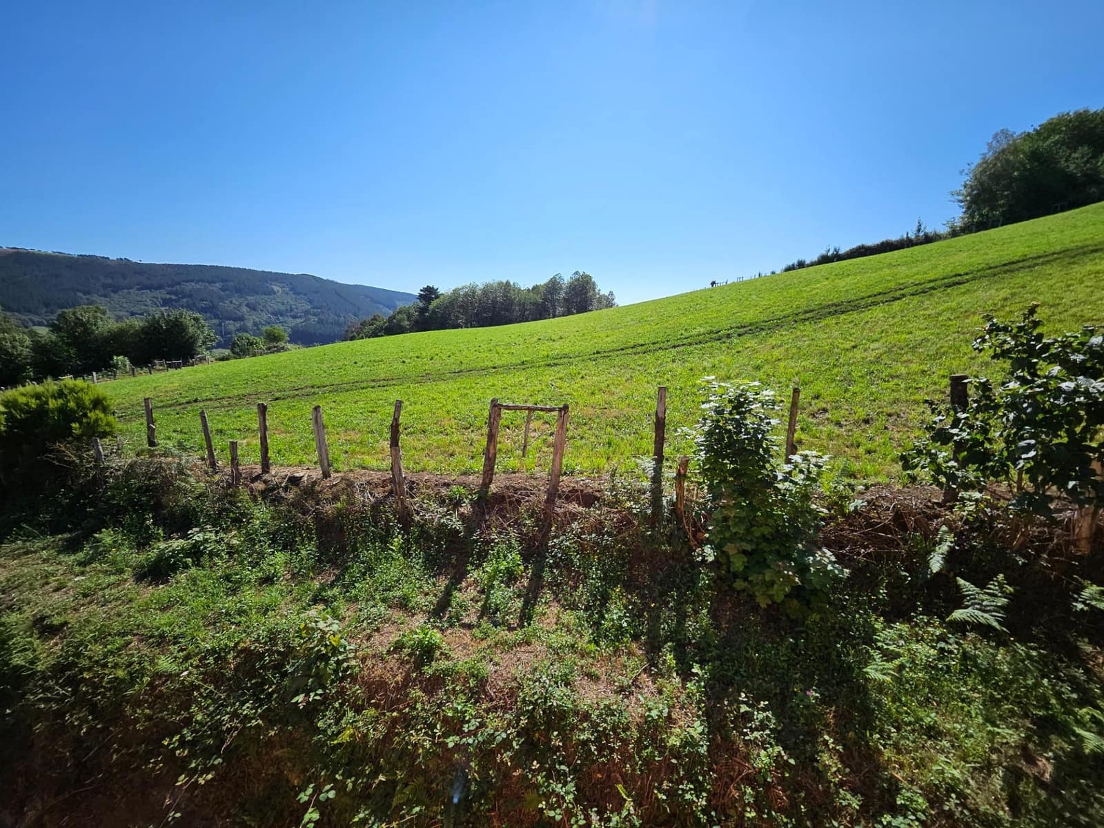 4 soveværelse Finca/Landehus til salg i Allande - € 225.000 (Ref: 8480809)