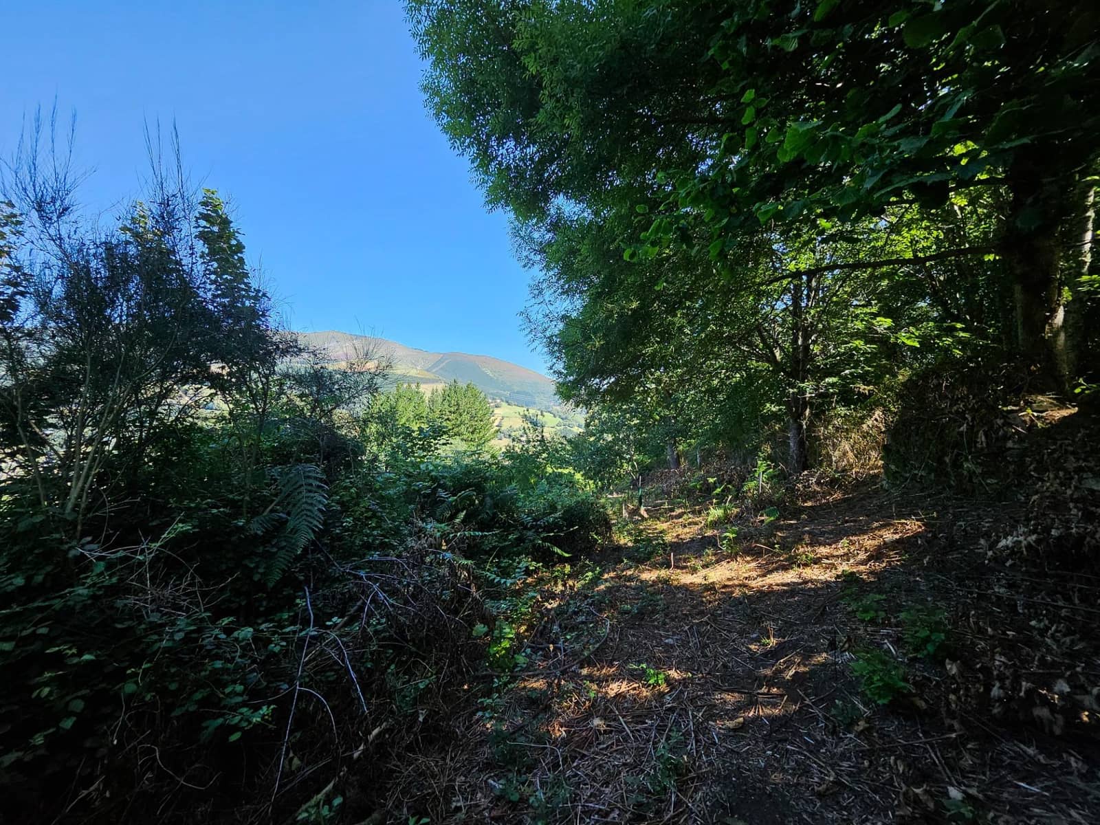 4 soveværelse Finca/Landehus til salg i Allande - € 225.000 (Ref: 8480809)