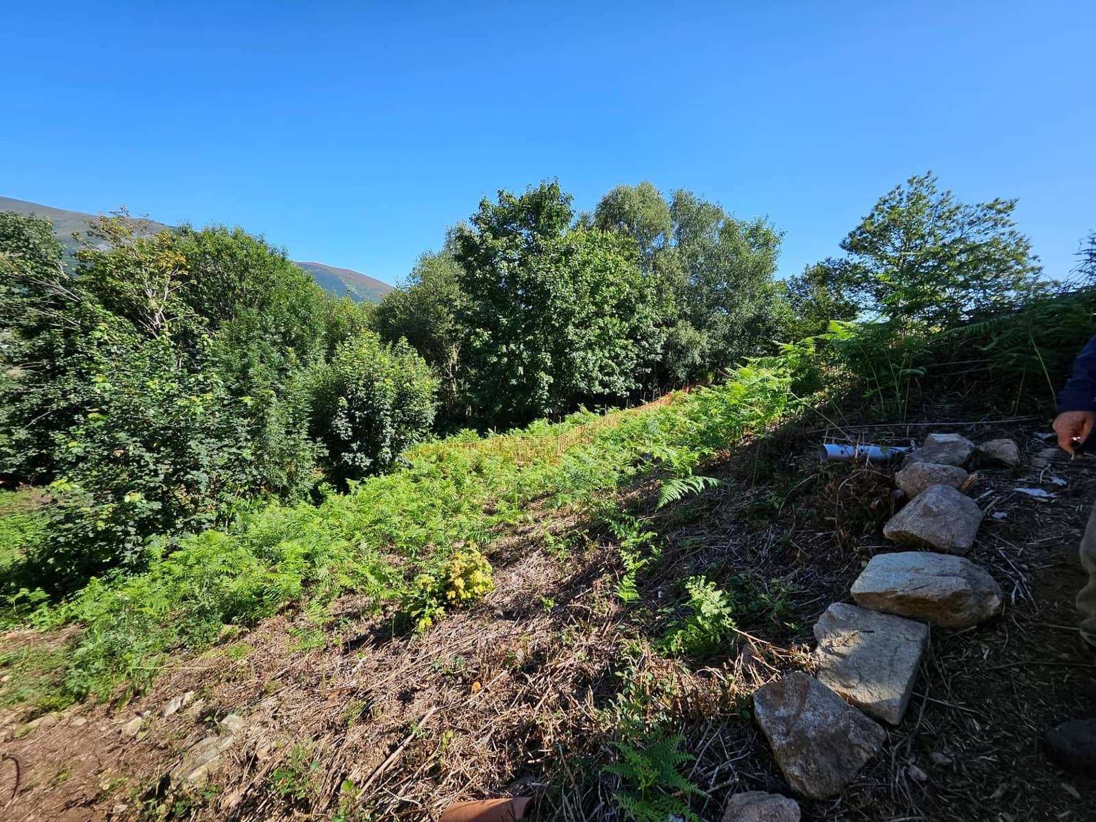 4 soveværelse Finca/Landehus til salg i Allande - € 225.000 (Ref: 8480809)