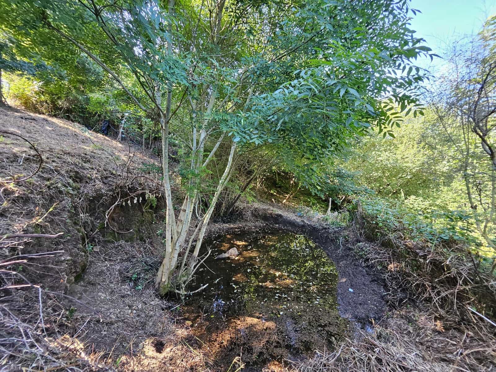 4 soveværelse Finca/Landehus til salg i Allande - € 225.000 (Ref: 8480809)