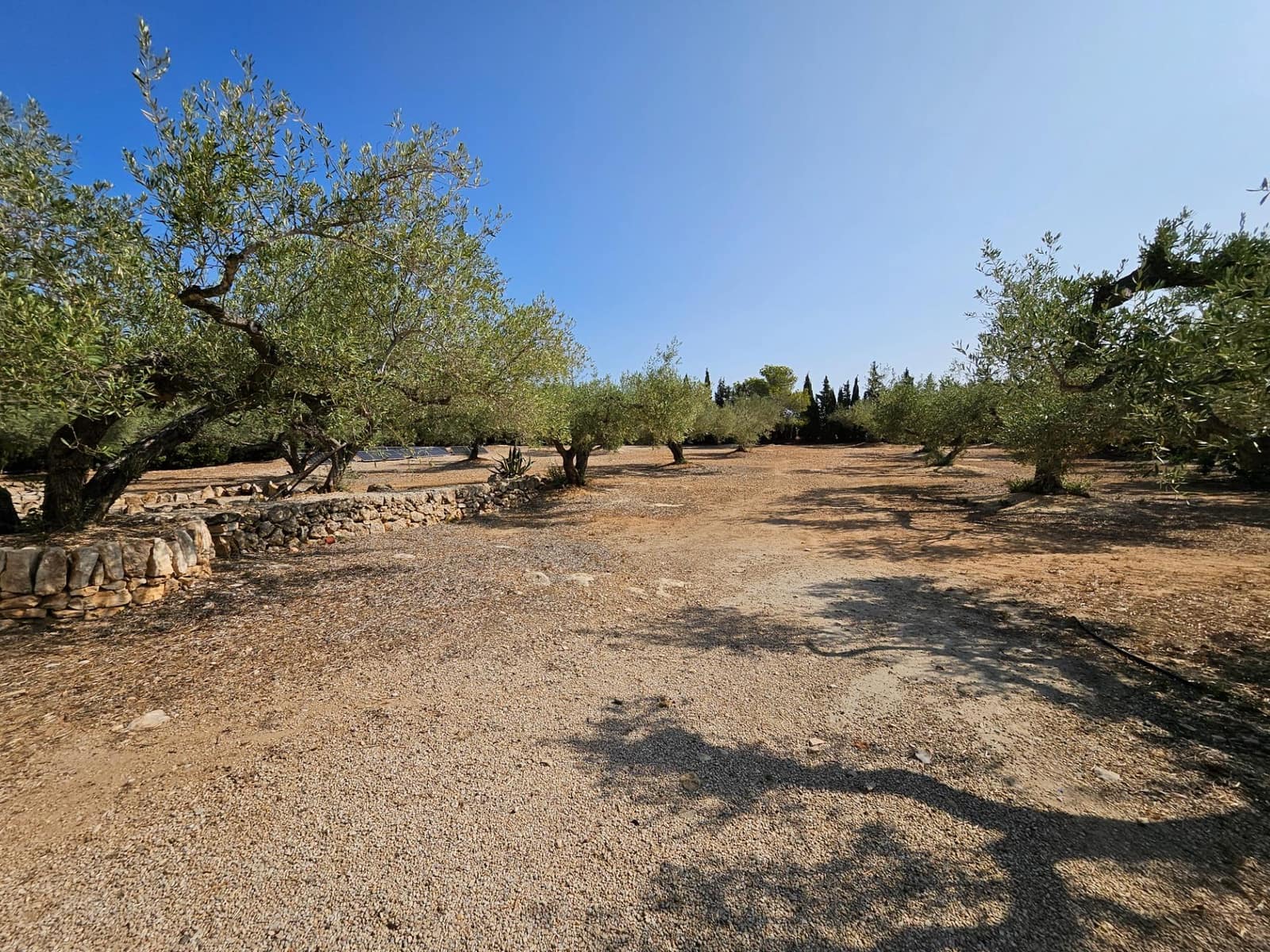 4 soveværelse Finca/Landehus til salg i L'Ampolla med swimmingpool garage - € 295.000 (Ref: 8494964)