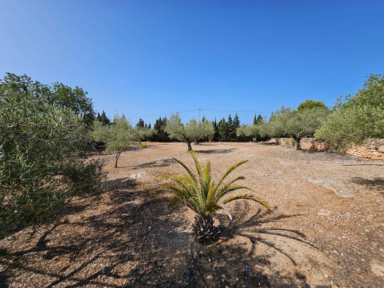 4 soveværelse Finca/Landehus til salg i L'Ampolla med swimmingpool garage - € 295.000 (Ref: 8494964)