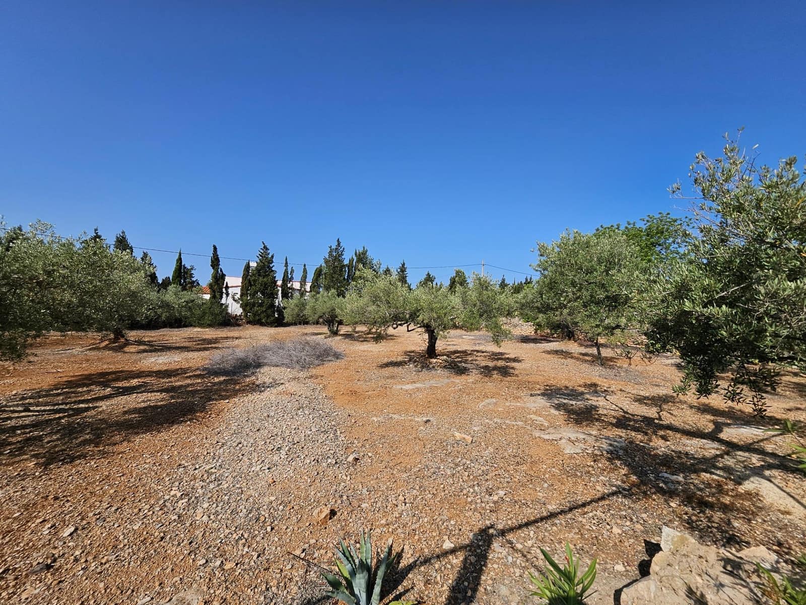 4 soveværelse Finca/Landehus til salg i L'Ampolla med swimmingpool garage - € 295.000 (Ref: 8494964)