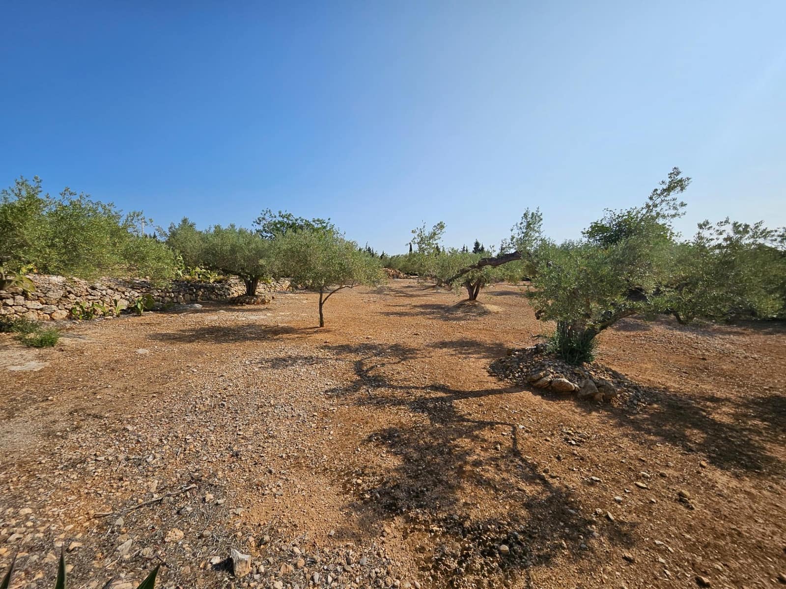 4 soveværelse Finca/Landehus til salg i L'Ampolla med swimmingpool garage - € 295.000 (Ref: 8494964)