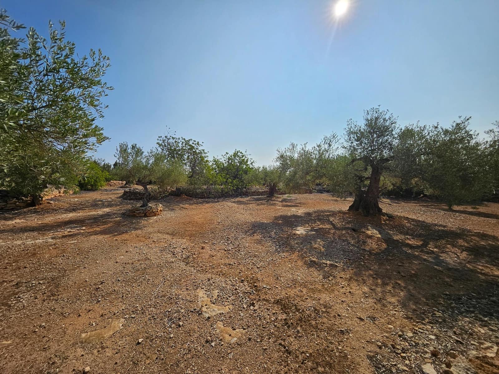 4 soveværelse Finca/Landehus til salg i L'Ampolla med swimmingpool garage - € 295.000 (Ref: 8494964)