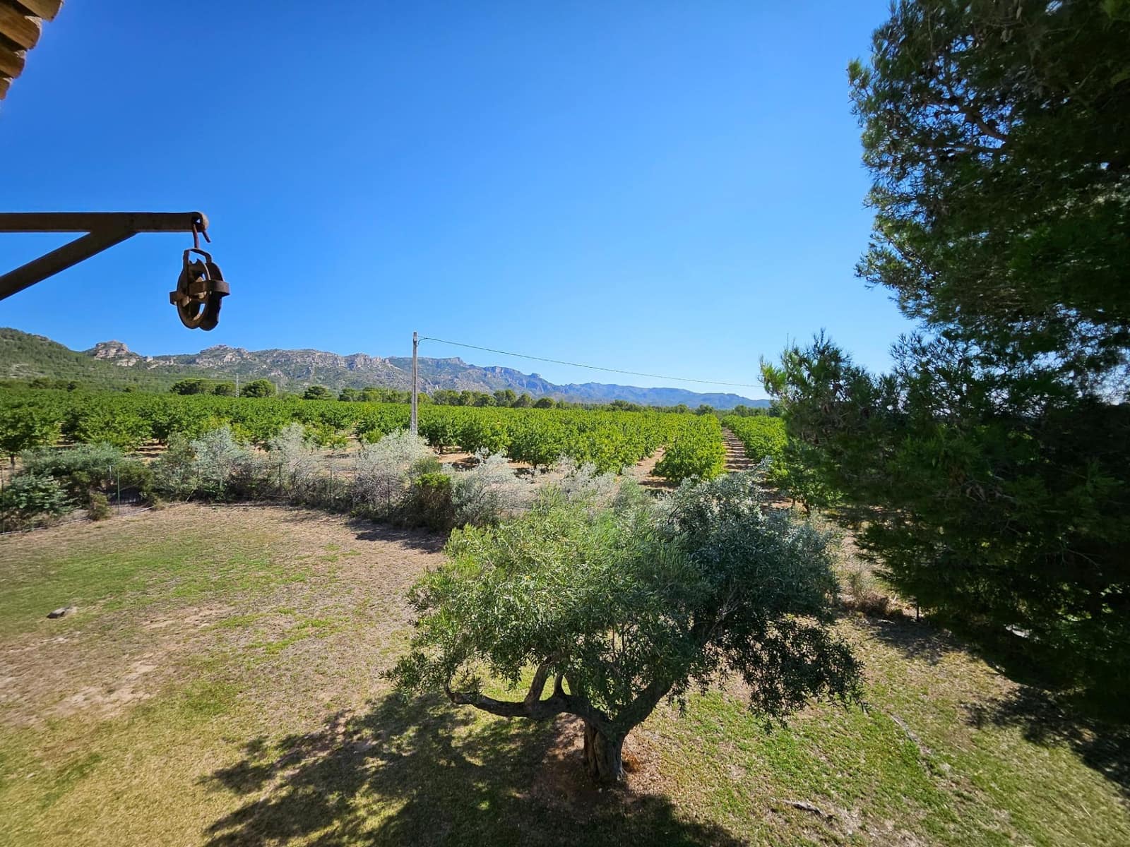 7 soveværelse Finca/Landehus til salg i Sant Jordi d'Alfama med swimmingpool - € 3.500.000 (Ref: 8523001)