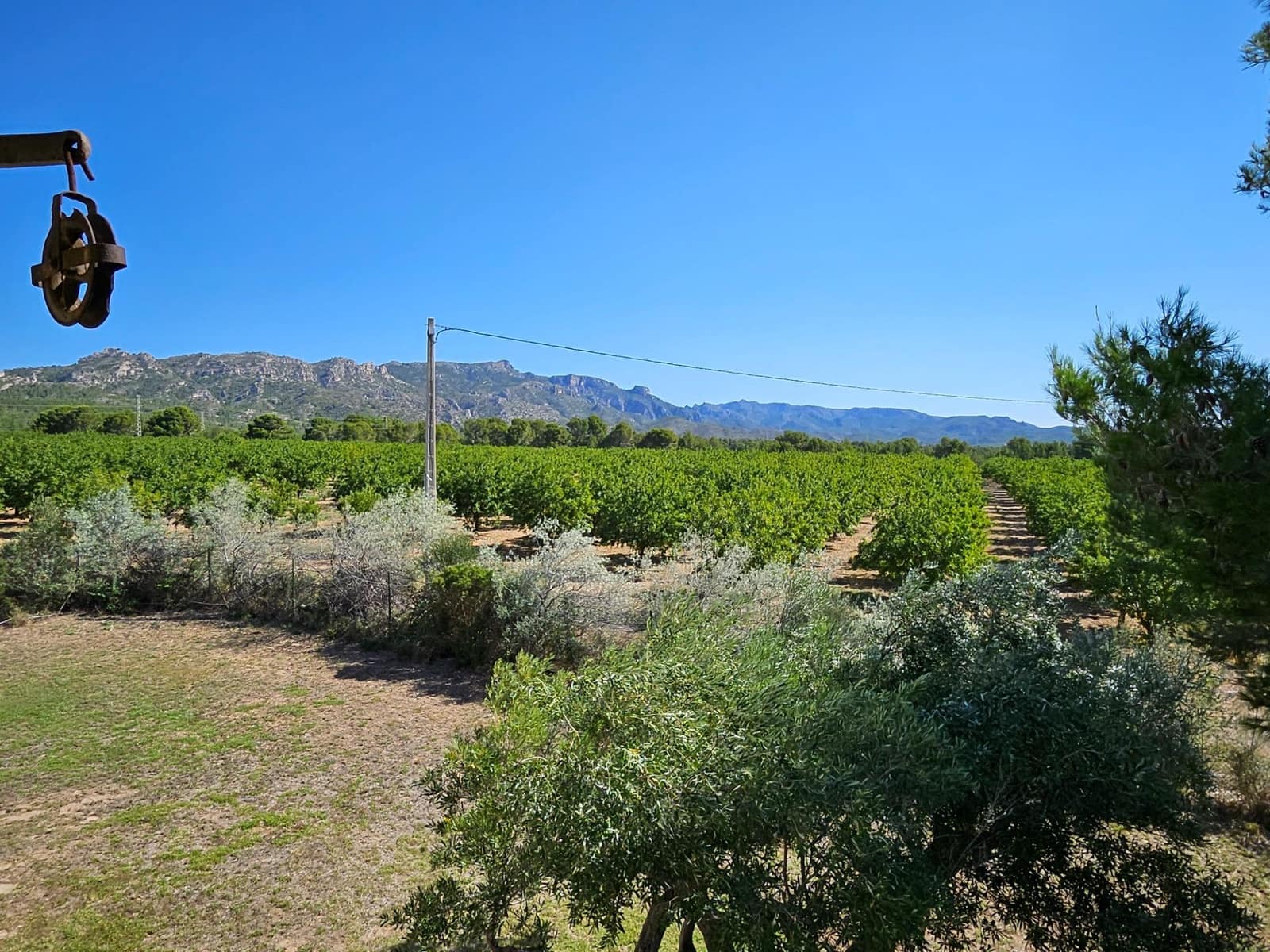 7 soveværelse Finca/Landehus til salg i Sant Jordi d'Alfama med swimmingpool - € 3.500.000 (Ref: 8523001)