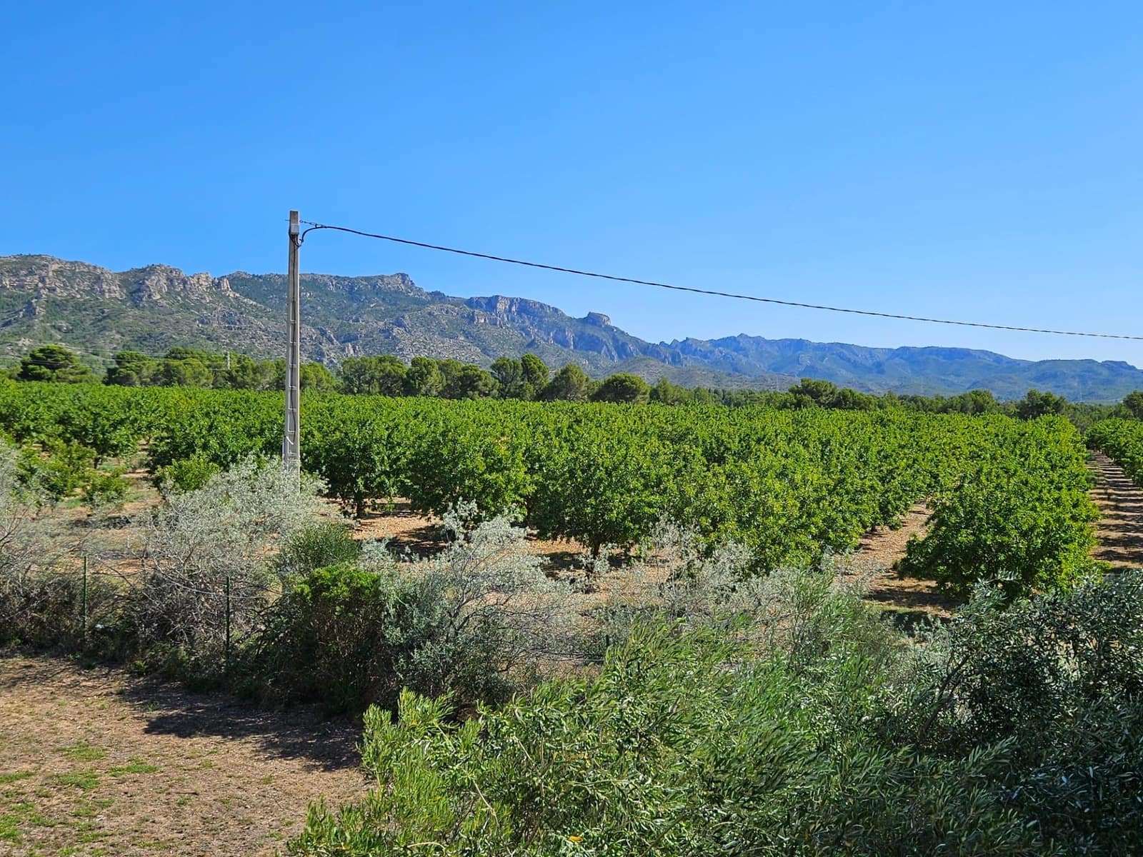 7 soveværelse Villa til salg i Sant Jordi d'Alfama med swimmingpool - € 3.500.000 (Ref: 8526655)