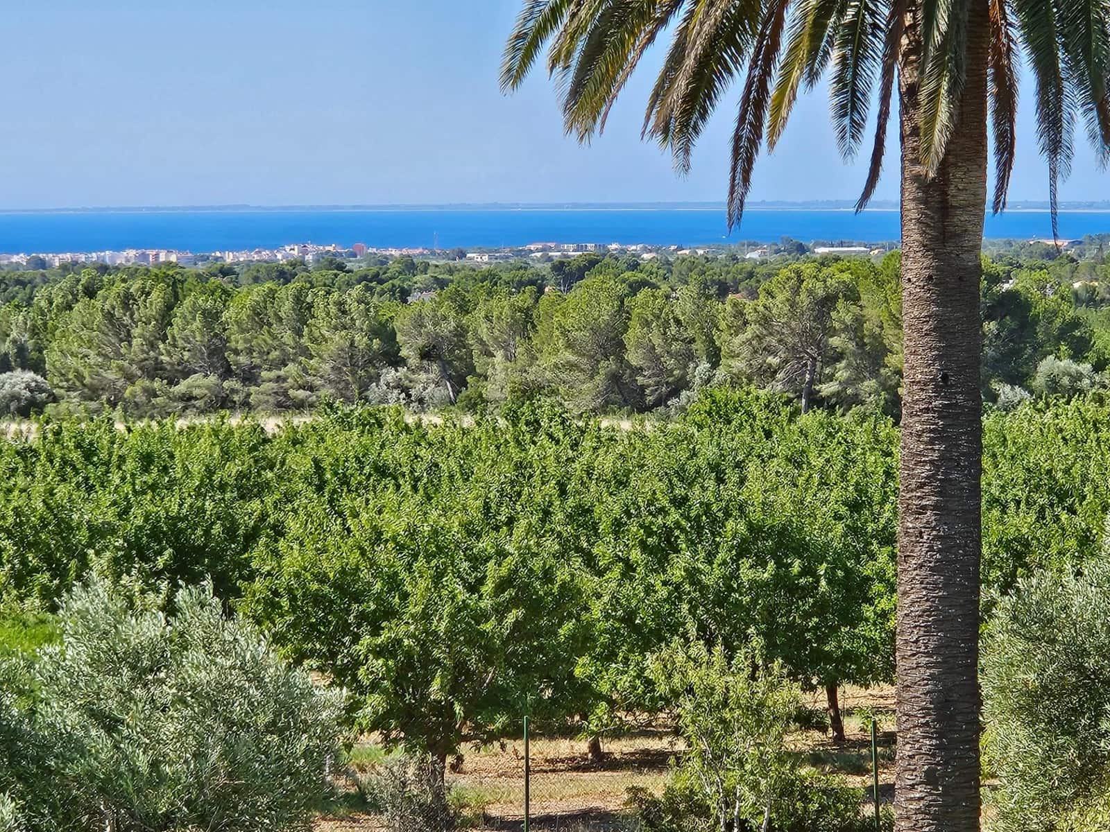 7 soveværelse Villa til salg i Sant Jordi d'Alfama med swimmingpool - € 3.500.000 (Ref: 8526655)