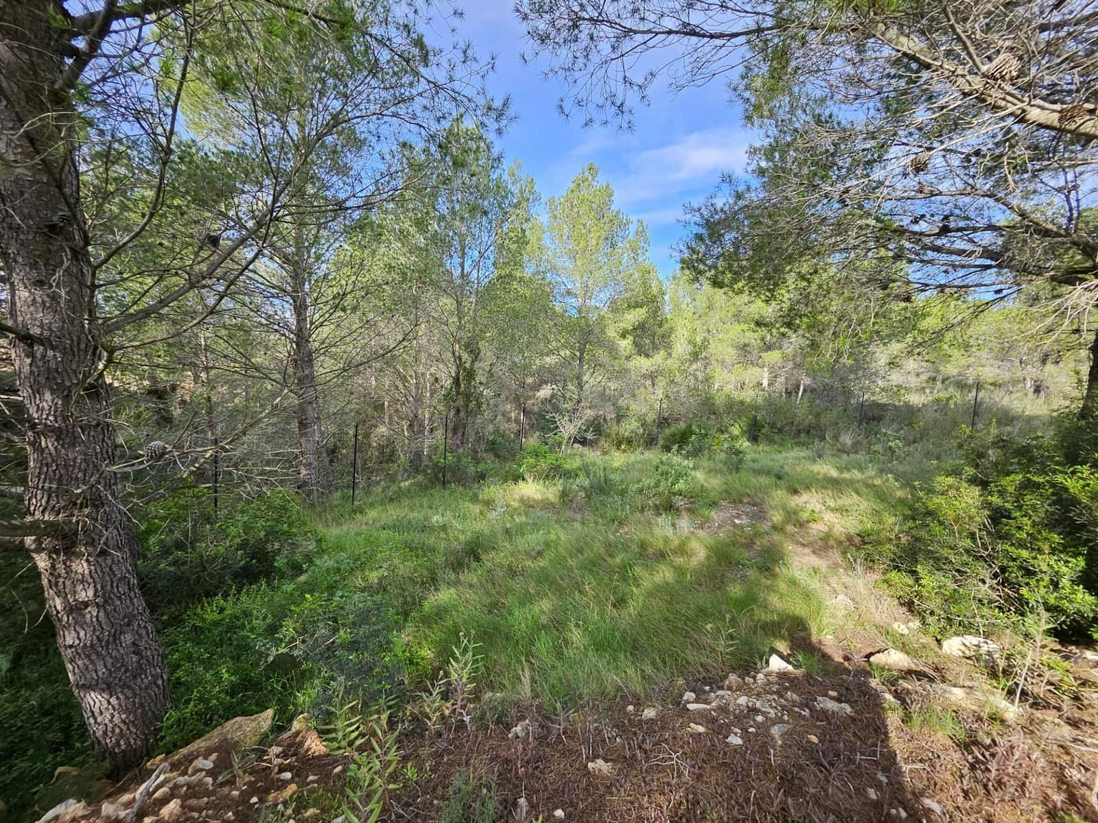 5 camera da letto Finca/Casa di Campagna in vendita in L'Ametlla de Mar con piscina - 565.000 € (Rif: 8698220)