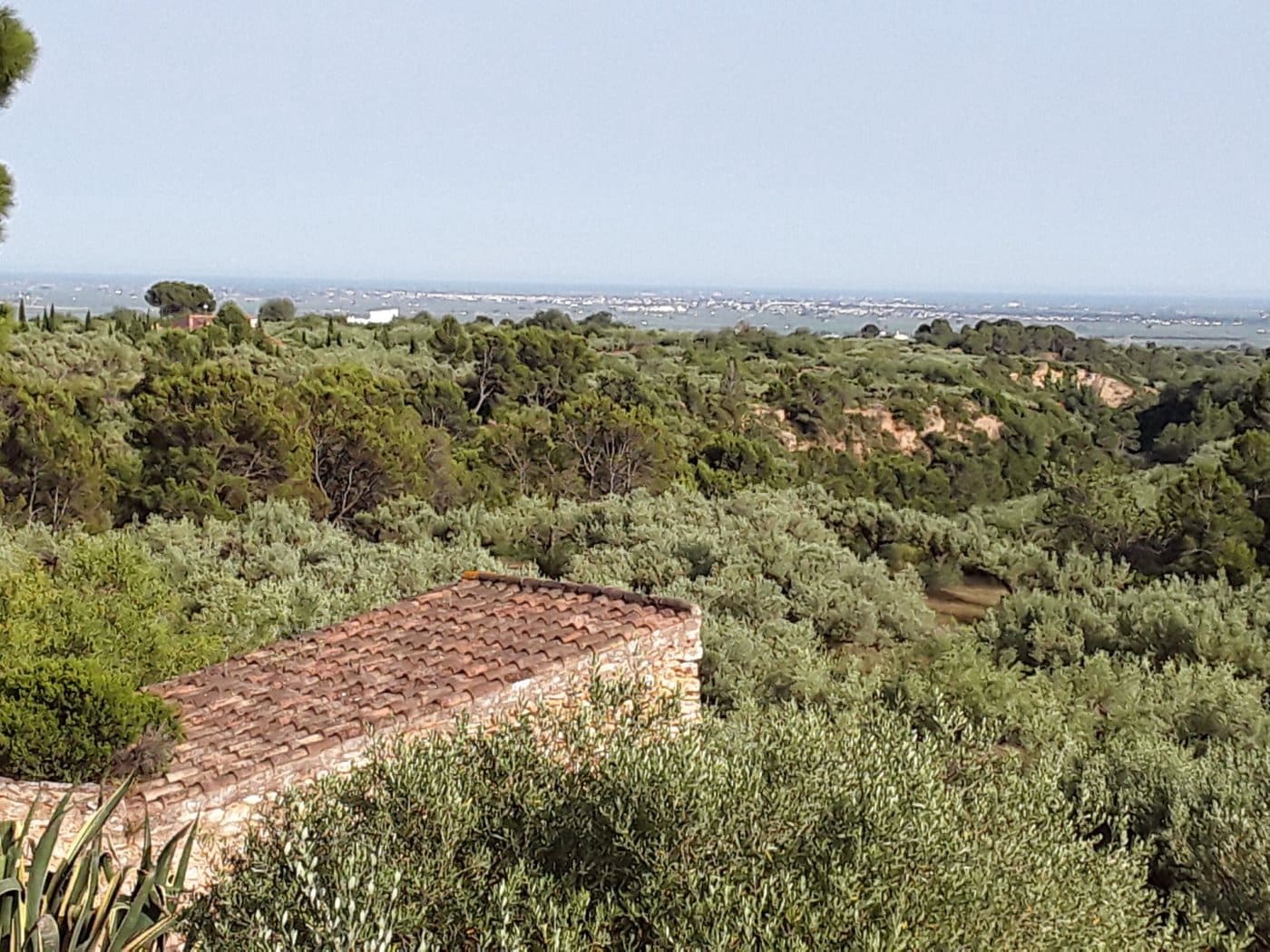 6 sovrum Finca/Hus på landet till salu i Camarles - 597 000 € (Ref: 8729744)