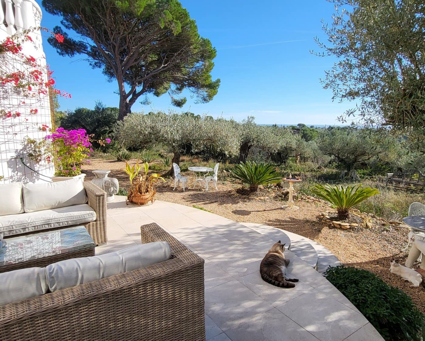 6 sovrum Finca/Hus på landet till salu i Camarles - 597 000 € (Ref: 8729744)