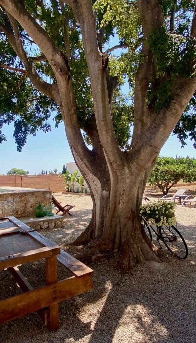 7 bedroom Finca/Country House for sale in Camarles with pool - € 1,500,000 (Ref: 8798871)