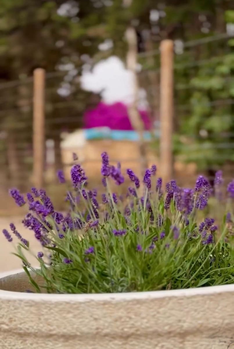 7 bedroom Finca/Country House for sale in Camarles with pool - € 1,500,000 (Ref: 8798871)