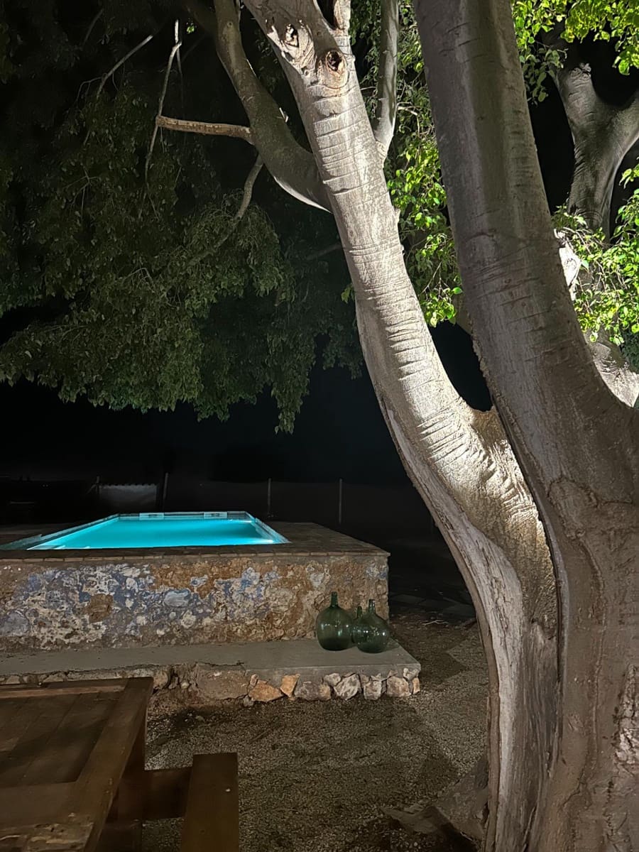 7 bedroom Finca/Country House for sale in Camarles with pool - € 1,500,000 (Ref: 8798871)