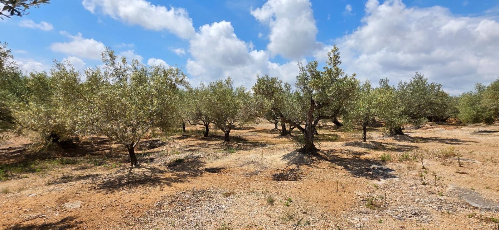 Finca/Landehus til salg i L'Ampolla - € 99.000 (Ref: 8857543)