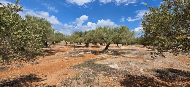 Finca/Landehus til salg i L'Ampolla - € 99.000 (Ref: 8857543)