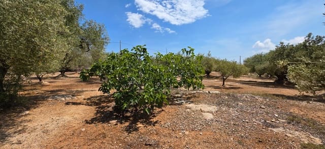 Finca/Landehus til salg i L'Ampolla - € 99.000 (Ref: 8857543)