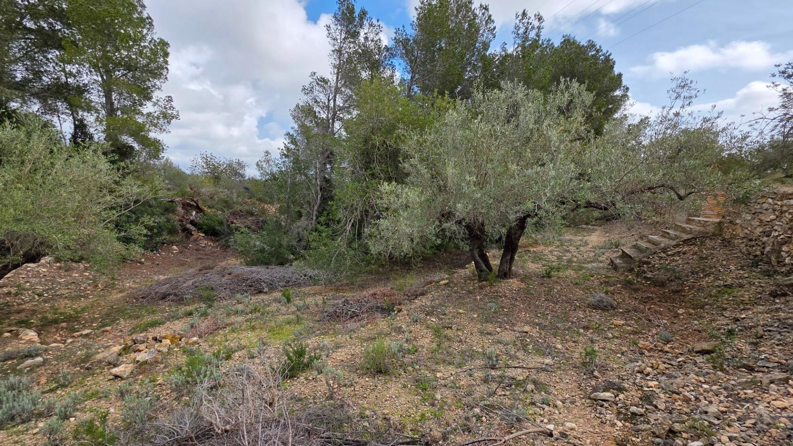 2 soveværelse Finca/Landehus til salg i L'Ametlla de Mar - € 110.000 (Ref: 8862668)