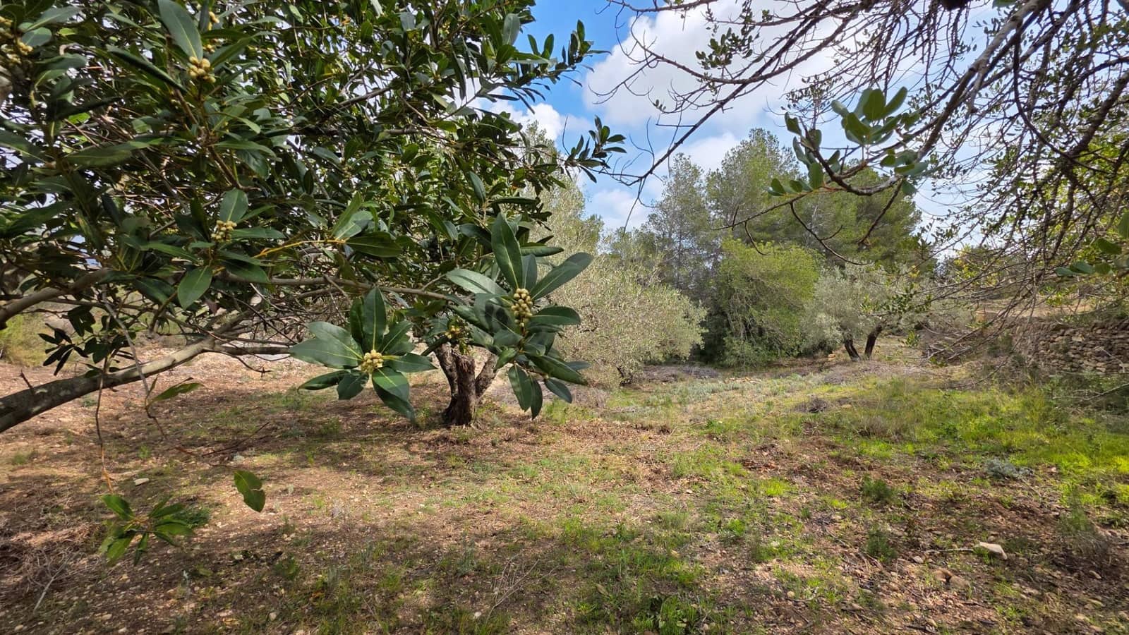 2 soveværelse Finca/Landehus til salg i L'Ametlla de Mar - € 110.000 (Ref: 8862668)