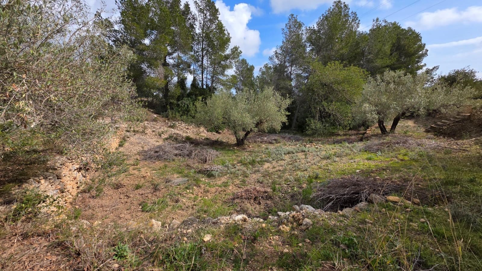 2 soveværelse Finca/Landehus til salg i L'Ametlla de Mar - € 110.000 (Ref: 8862668)