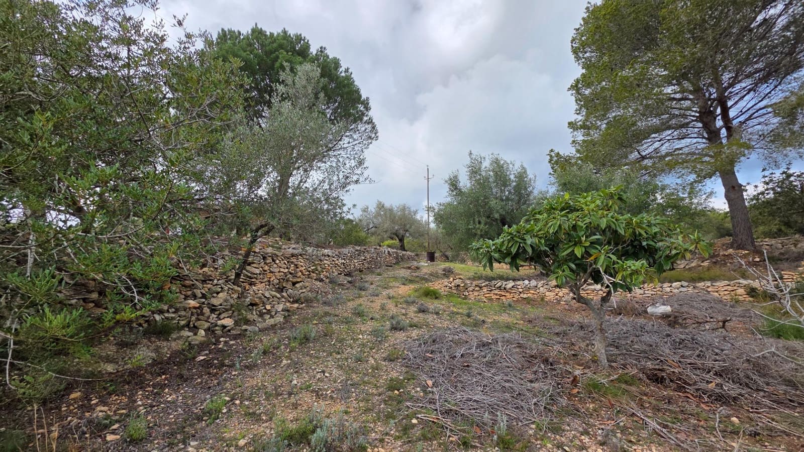 2 soveværelse Finca/Landehus til salg i L'Ametlla de Mar - € 110.000 (Ref: 8862668)