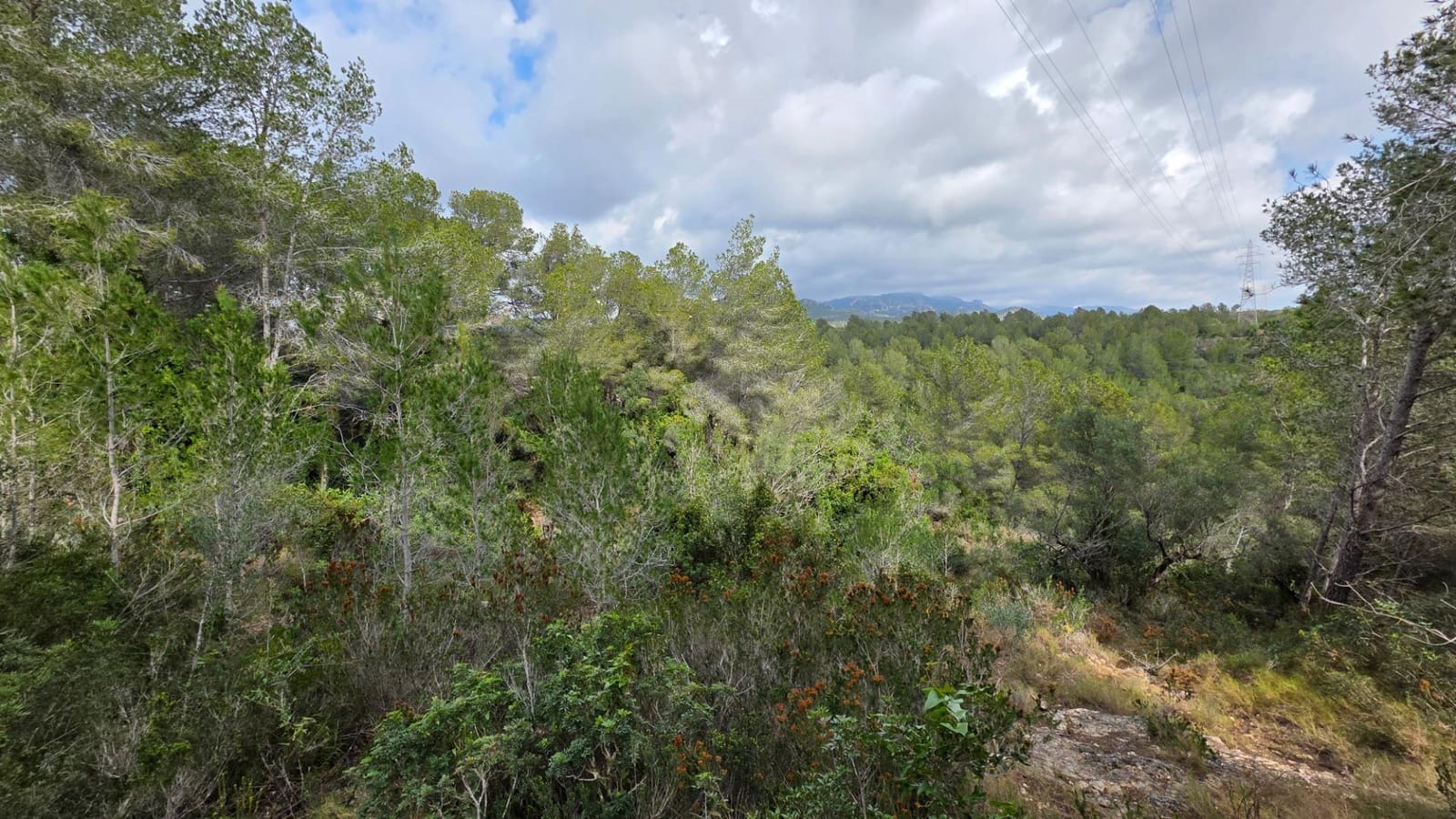 2 soveværelse Finca/Landehus til salg i L'Ametlla de Mar - € 110.000 (Ref: 8862668)