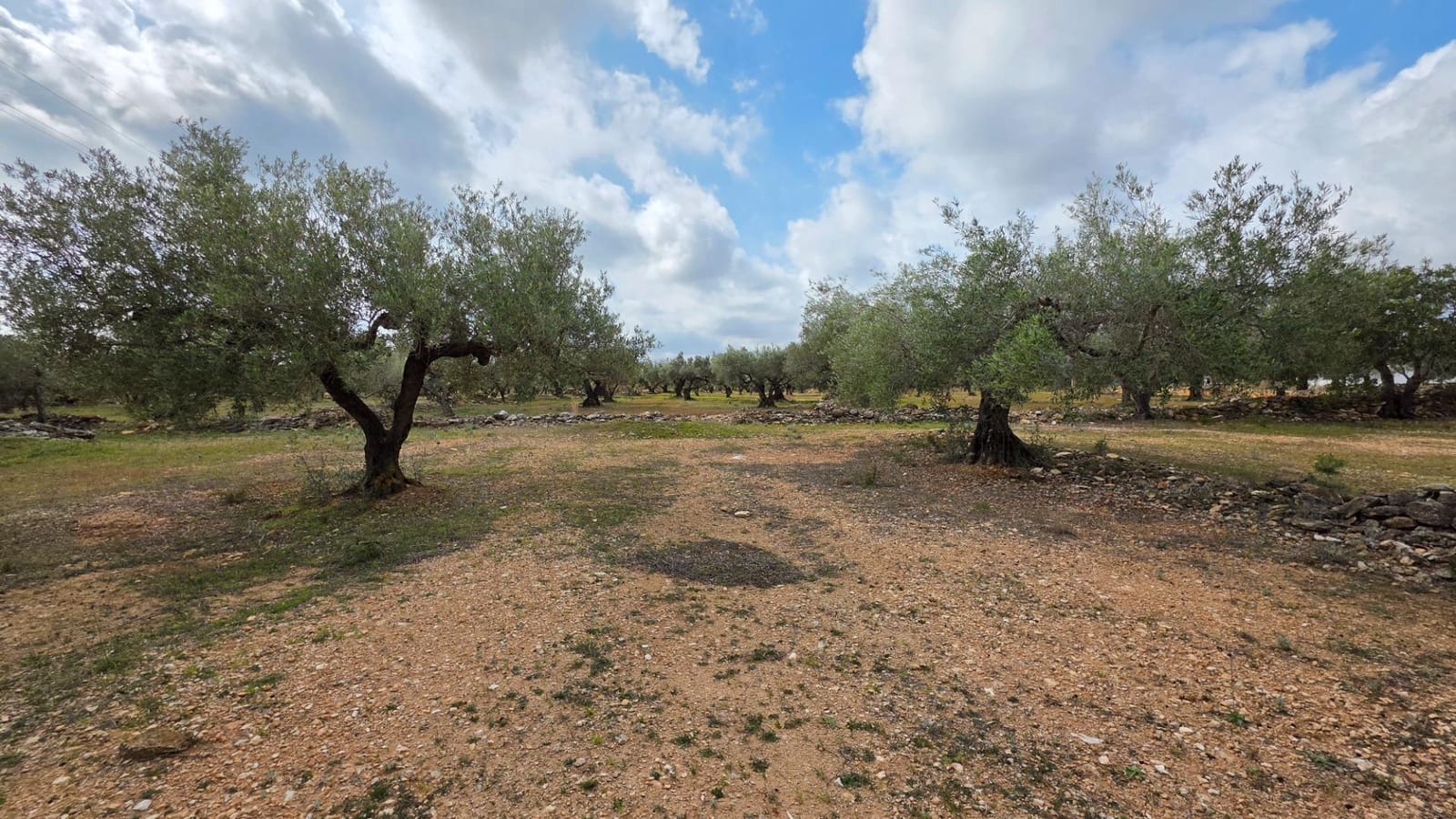 2 soveværelse Finca/Landehus til salg i L'Ametlla de Mar - € 110.000 (Ref: 8862668)