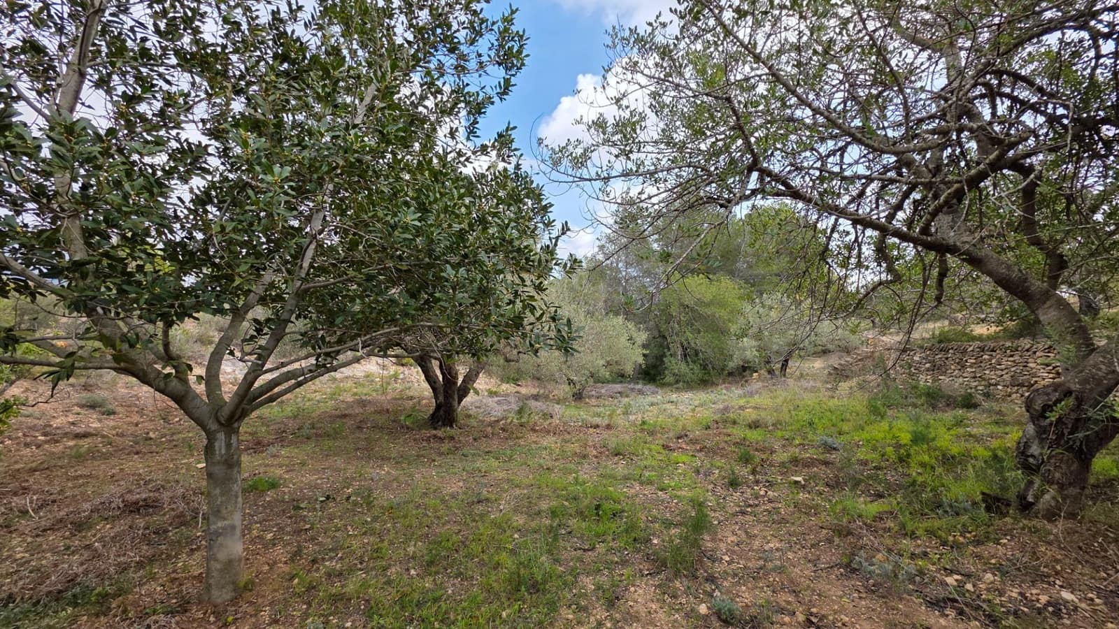 2 soveværelse Finca/Landehus til salg i L'Ametlla de Mar - € 110.000 (Ref: 8862668)