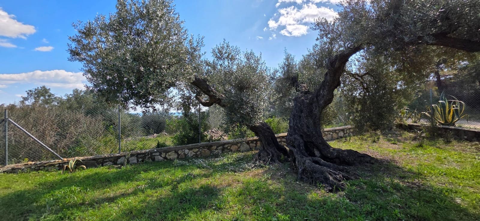 2 soveværelse Finca/Landehus til salg i El Perello - € 339.000 (Ref: 8926632)