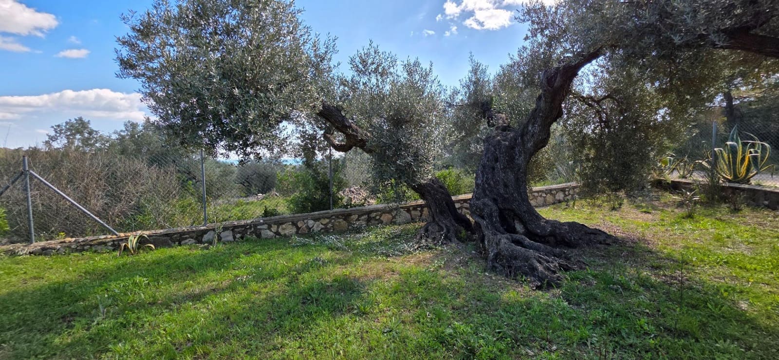 2 soveværelse Finca/Landehus til salg i El Perello - € 339.000 (Ref: 8926632)