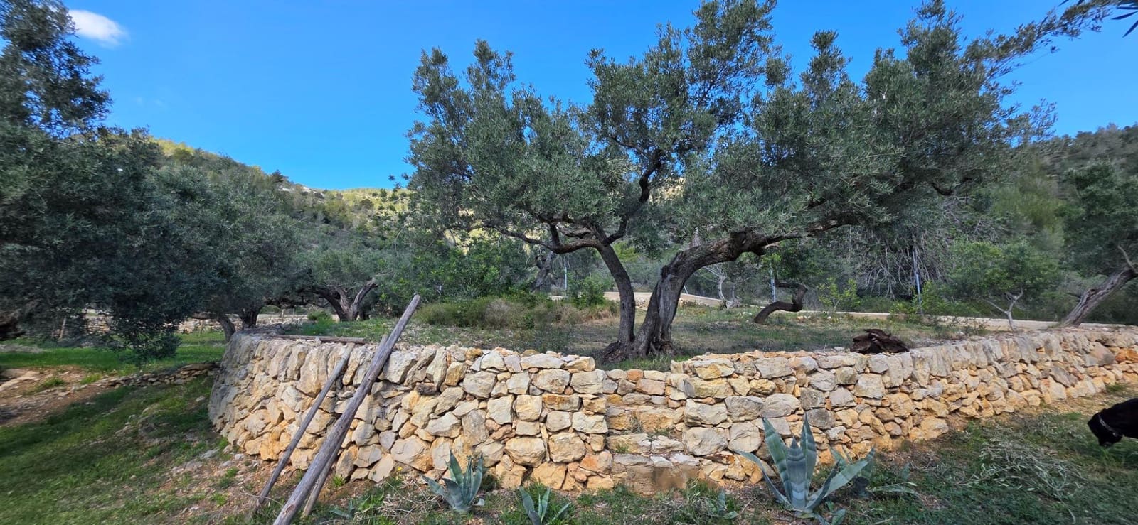 2 soveværelse Finca/Landehus til salg i El Perello - € 339.000 (Ref: 8926632)