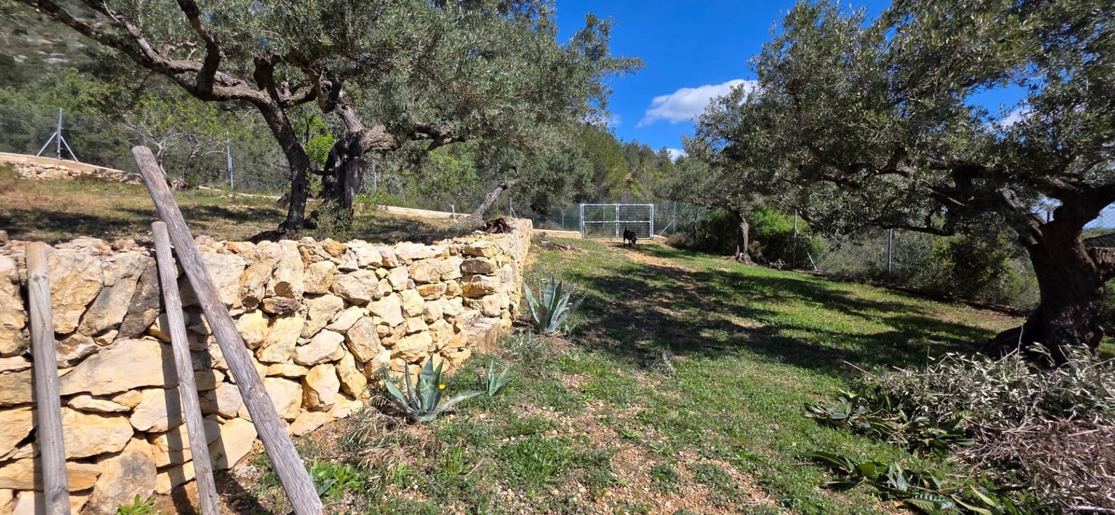 2 soveværelse Finca/Landehus til salg i El Perello - € 339.000 (Ref: 8926632)