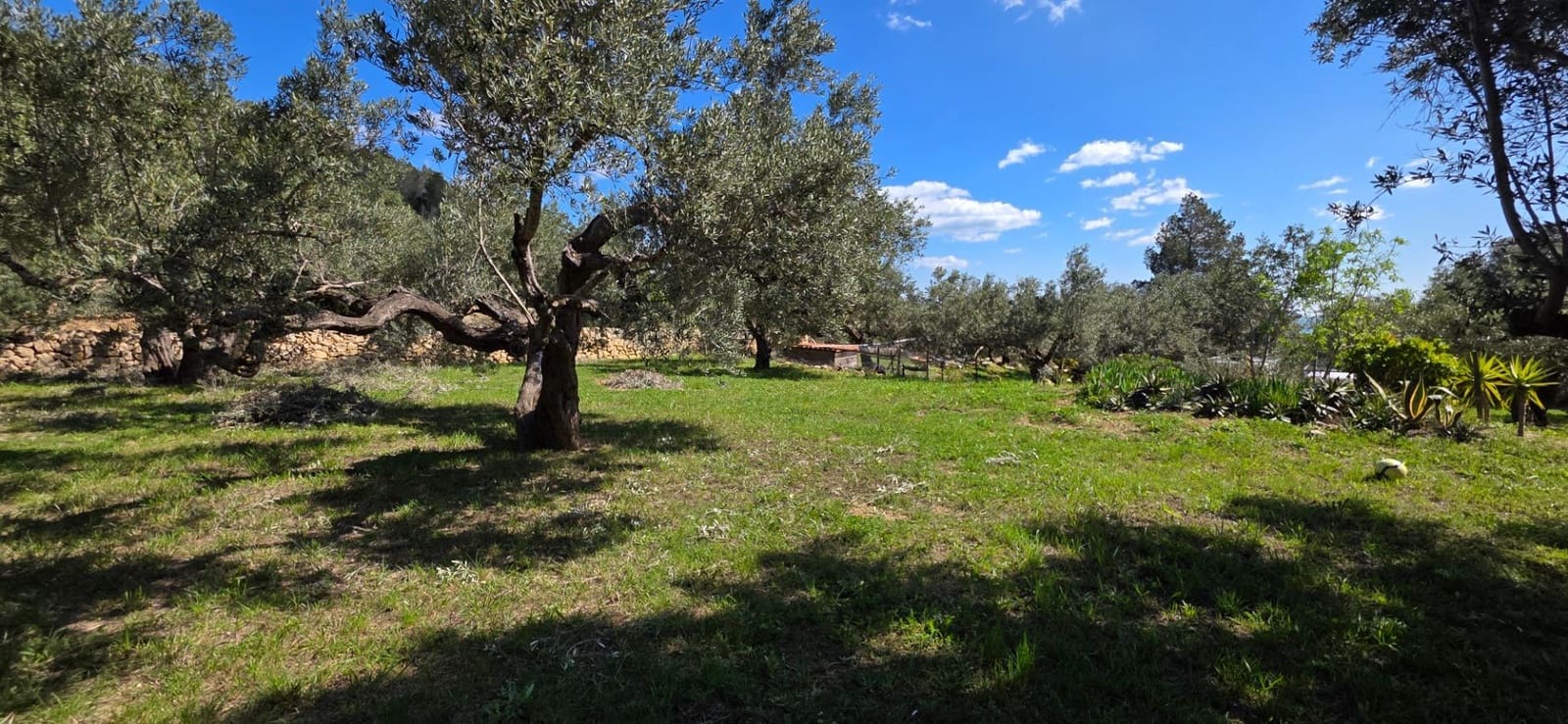 2 soveværelse Finca/Landehus til salg i El Perello - € 339.000 (Ref: 8926632)
