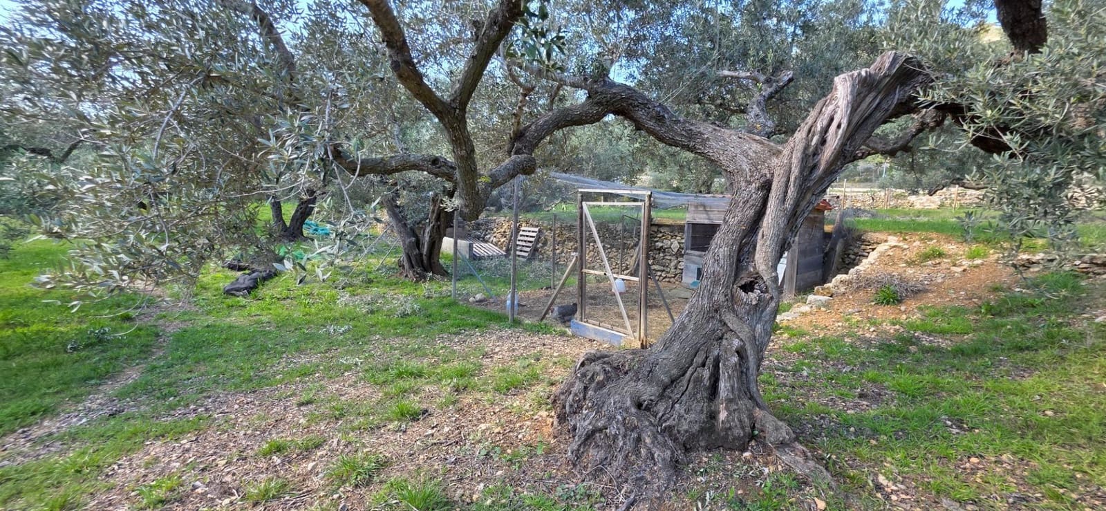 2 soveværelse Finca/Landehus til salg i El Perello - € 339.000 (Ref: 8926632)