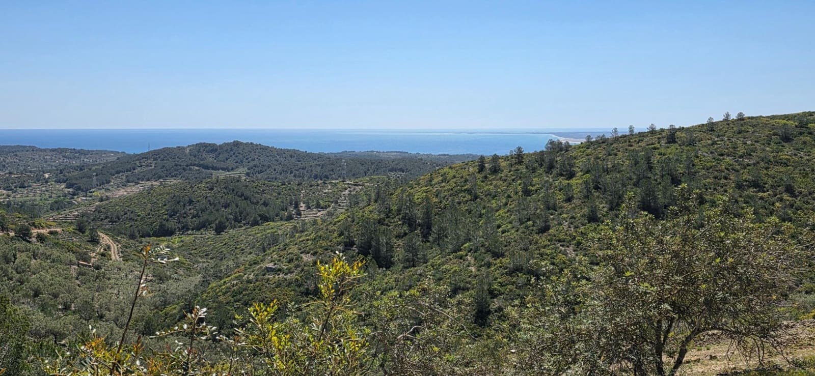 Finca/Herregård til salgs i El Perello - € 59 000 (Ref: 8954332)