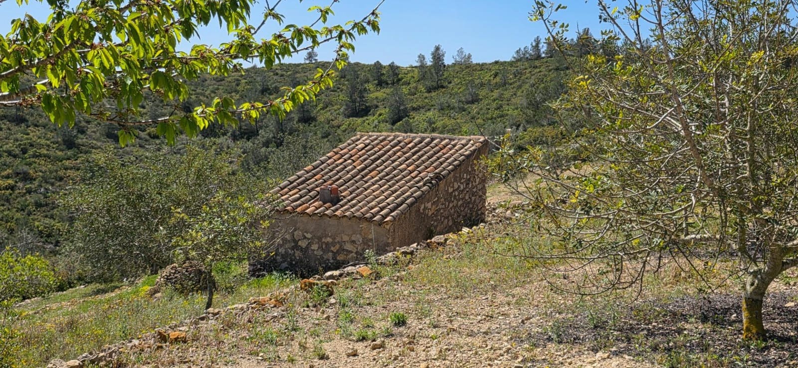 Finca/Herregård til salgs i El Perello - € 59 000 (Ref: 8954332)