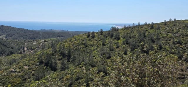 Quinta/Casa Rural para venda em El Perelló - 59 000 € (Ref: 8954332)