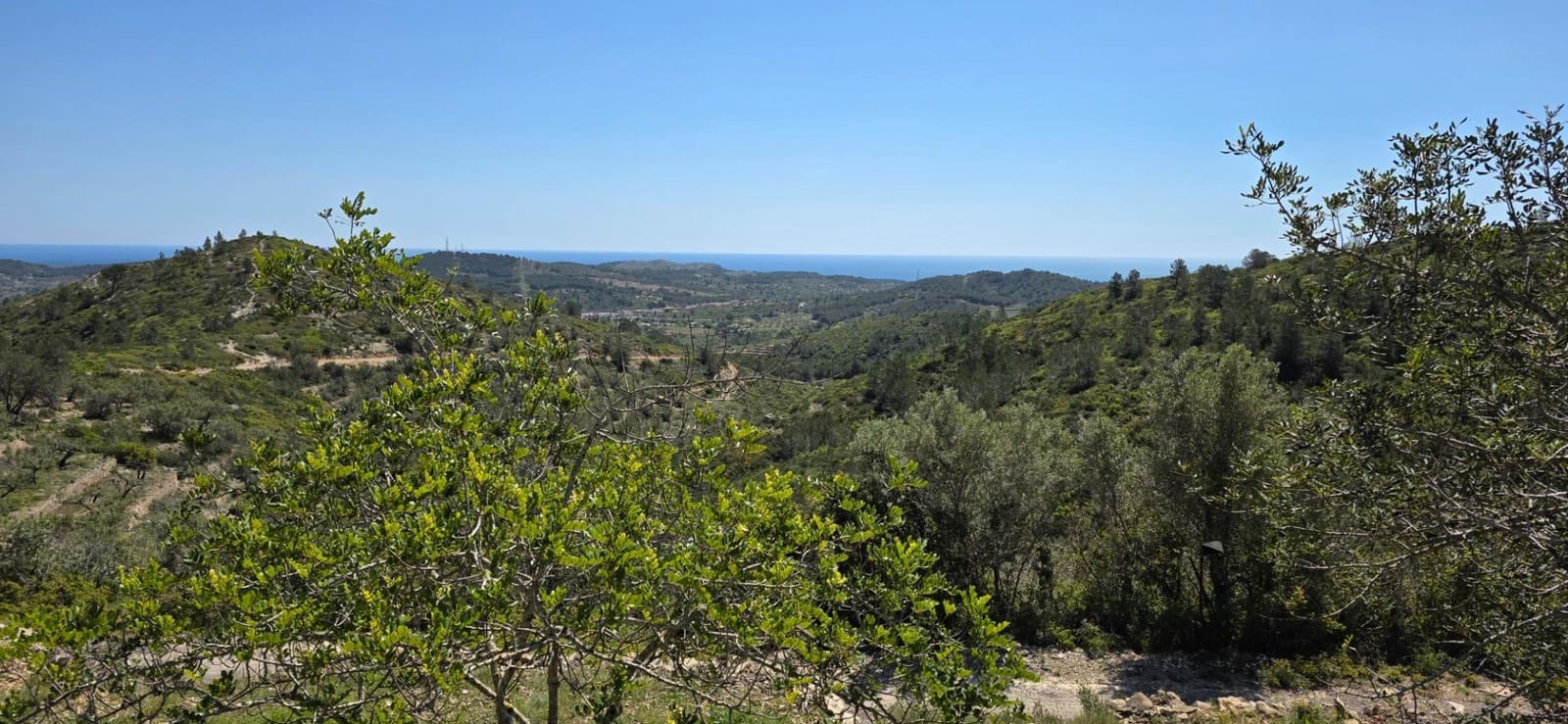 Finca/Herregård til salgs i El Perello - € 59 000 (Ref: 8954332)