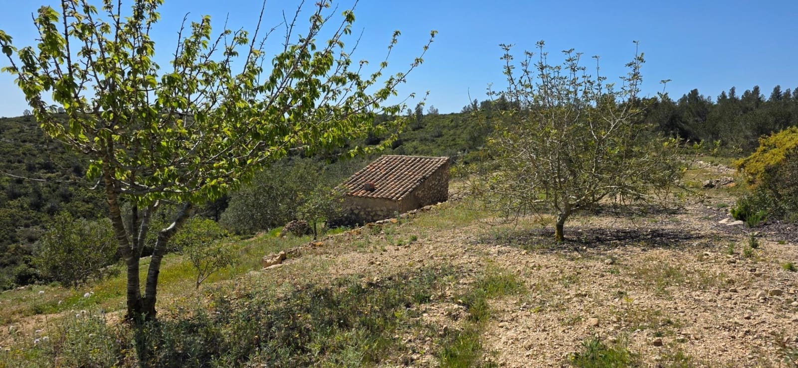 Finca/Herregård til salgs i El Perello - € 59 000 (Ref: 8954332)