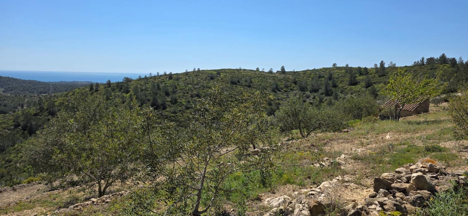 Finca/Herregård til salgs i El Perello - € 59 000 (Ref: 8954332)