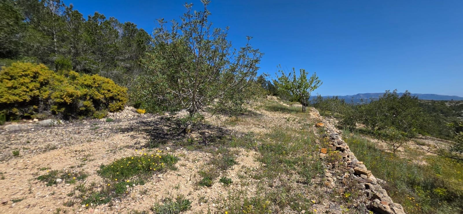 Finca/Herregård til salgs i El Perello - € 59 000 (Ref: 8954332)