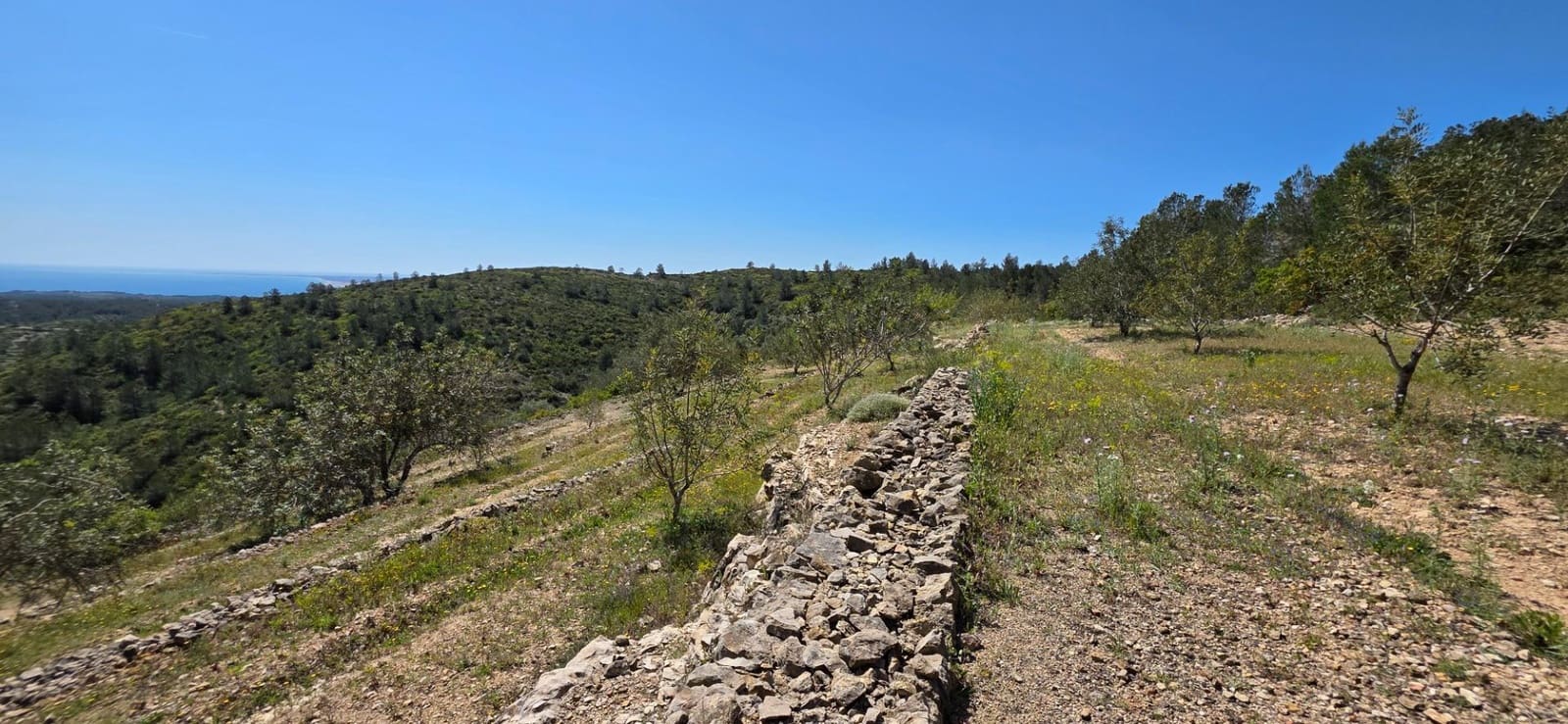 Finca/Herregård til salgs i El Perello - € 59 000 (Ref: 8954332)