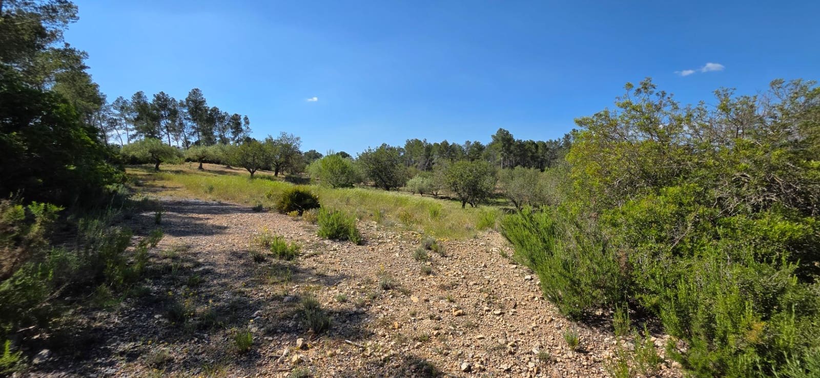 Finka/Dom wiejski na sprzedaż w Tivissa - 195 000 € (Ref: 9029489)